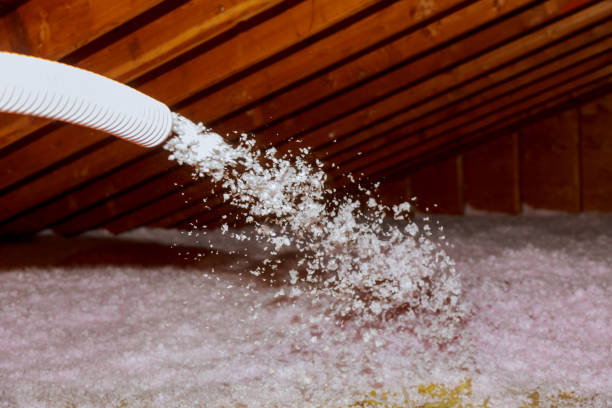 Best Energy Efficiency Solutions in Lexington, MO