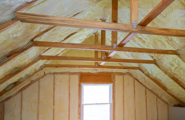 Best Commercial Insulation in Lexington, MO