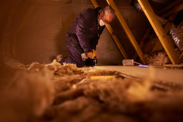Best Commercial Insulation in Lexington, MO