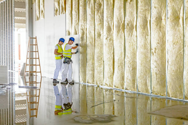 Best Insulation Maintenance and Repair in Lexington, MO